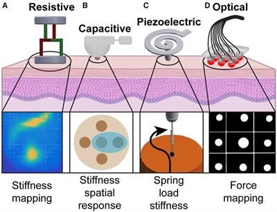 Visualizing tactile feedback: an overview of current technologies with a focus on ultrasound elastography